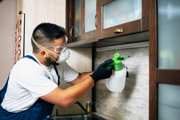 Best Affordable Pest Control Services  in Jonesboro, GA