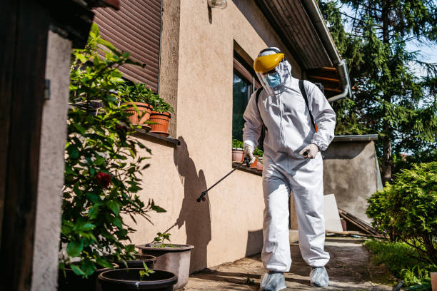 Best Bed Bug Extermination  in Jonesboro, GA