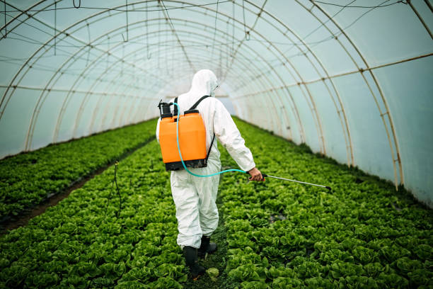 Best Pest Control Near Me  in Jonesboro, GA