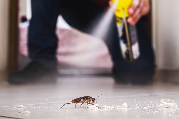 Best Best Pest Control Companies  in Jonesboro, GA